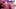 Special Thai Massage – ABTV Trailer